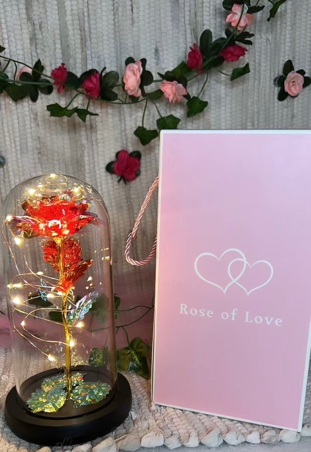 Rose of Love