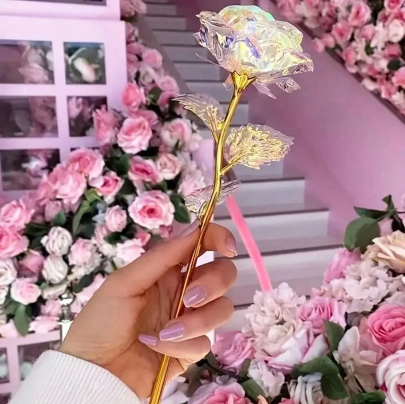 Holographic Rose